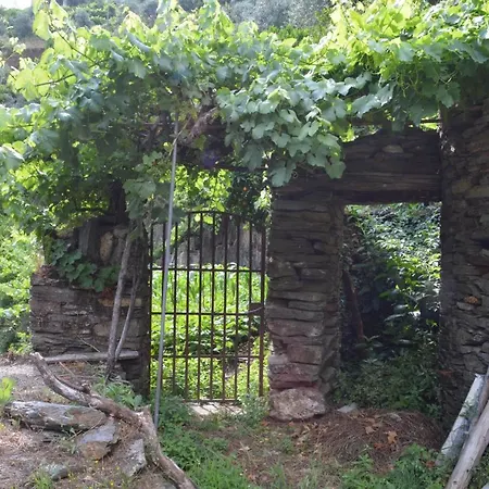 Casa Do Azereiro Alpstuga Casal do Rei (Seia)