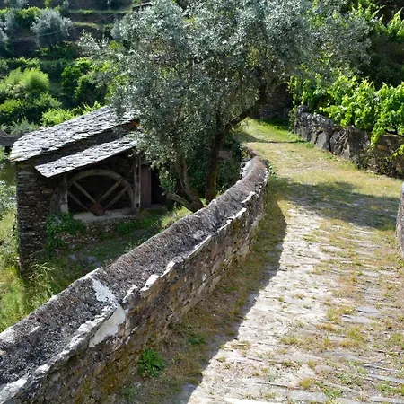Casa Do Azereiro בקתה