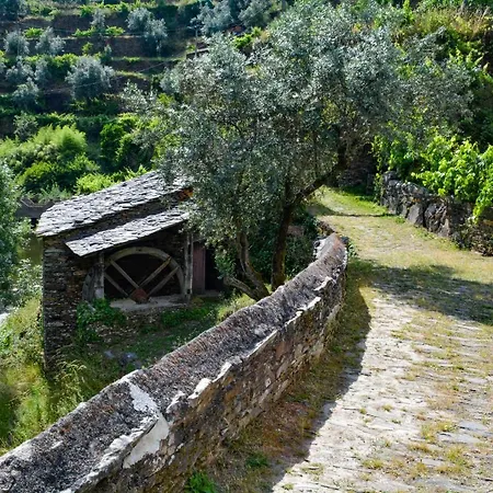 Casa Do Azereiro Шале Casal do Rei (Seia)