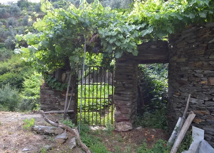 Casa Do Azereiro Chalet Casal do Rei (Seia)